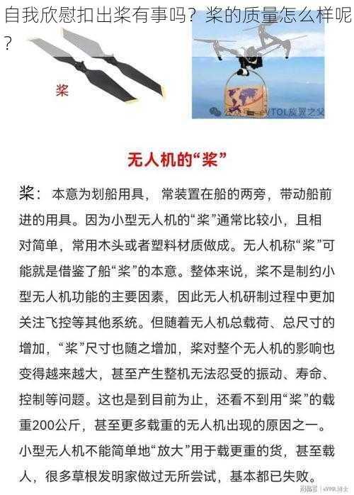 自我欣慰扣出桨有事吗？桨的质量怎么样呢？