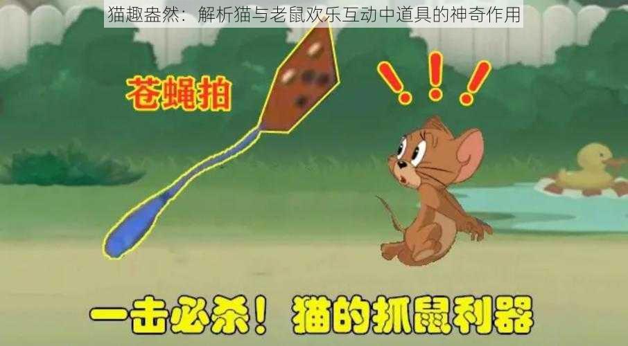 猫趣盎然：解析猫与老鼠欢乐互动中道具的神奇作用