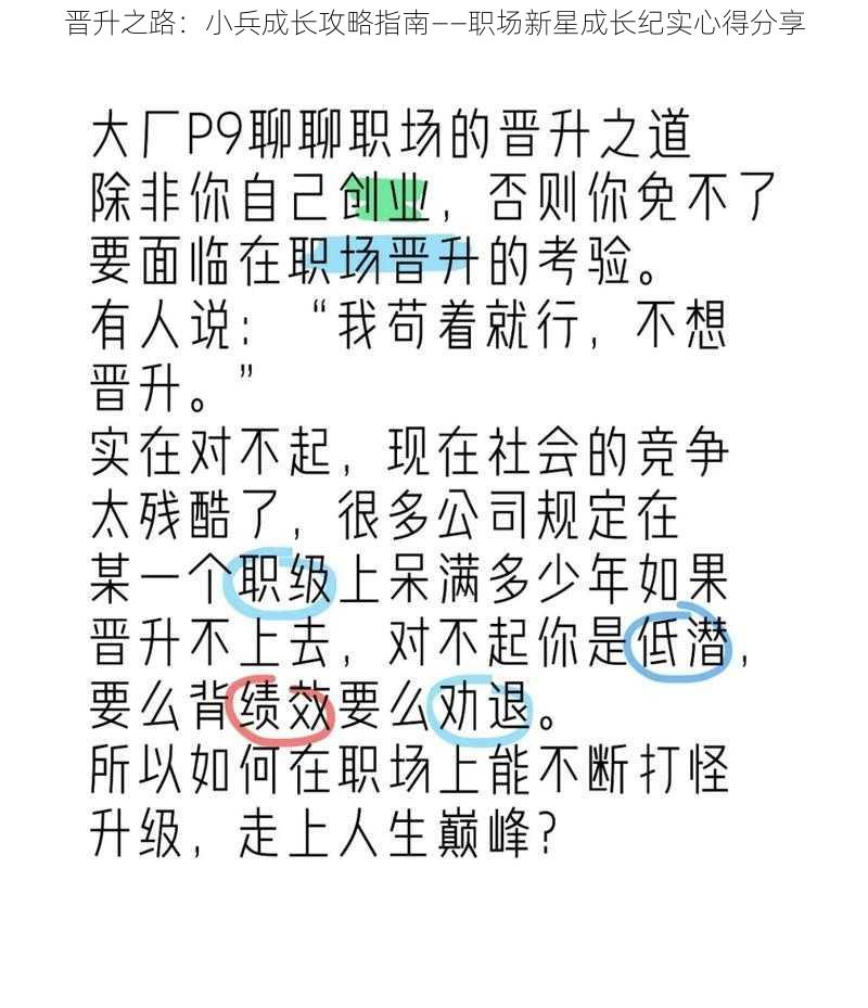 晋升之路：小兵成长攻略指南——职场新星成长纪实心得分享