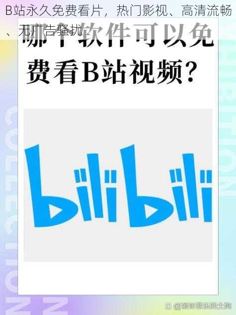 B站永久免费看片，热门影视、高清流畅、无广告骚扰