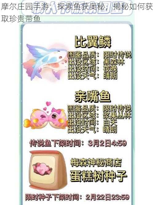 摩尔庄园手游：探索鱼获奥秘，揭秘如何获取珍贵带鱼