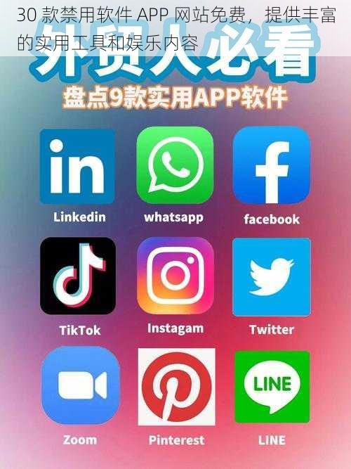 30 款禁用软件 APP 网站免费，提供丰富的实用工具和娱乐内容