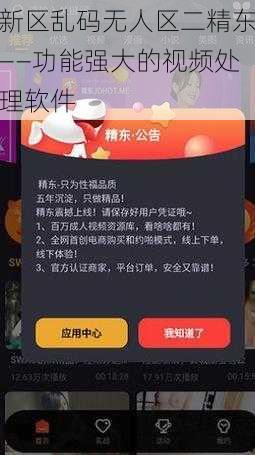 新区乱码无人区二精东——功能强大的视频处理软件