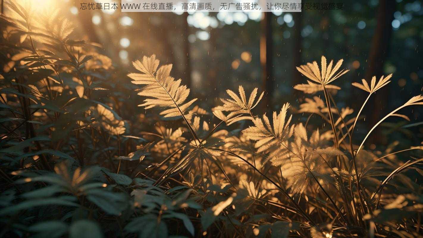 忘忧草日本 WWW 在线直播，高清画质，无广告骚扰，让你尽情享受视觉盛宴