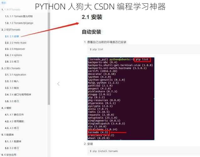 PYTHON 人狗大 CSDN 编程学习神器