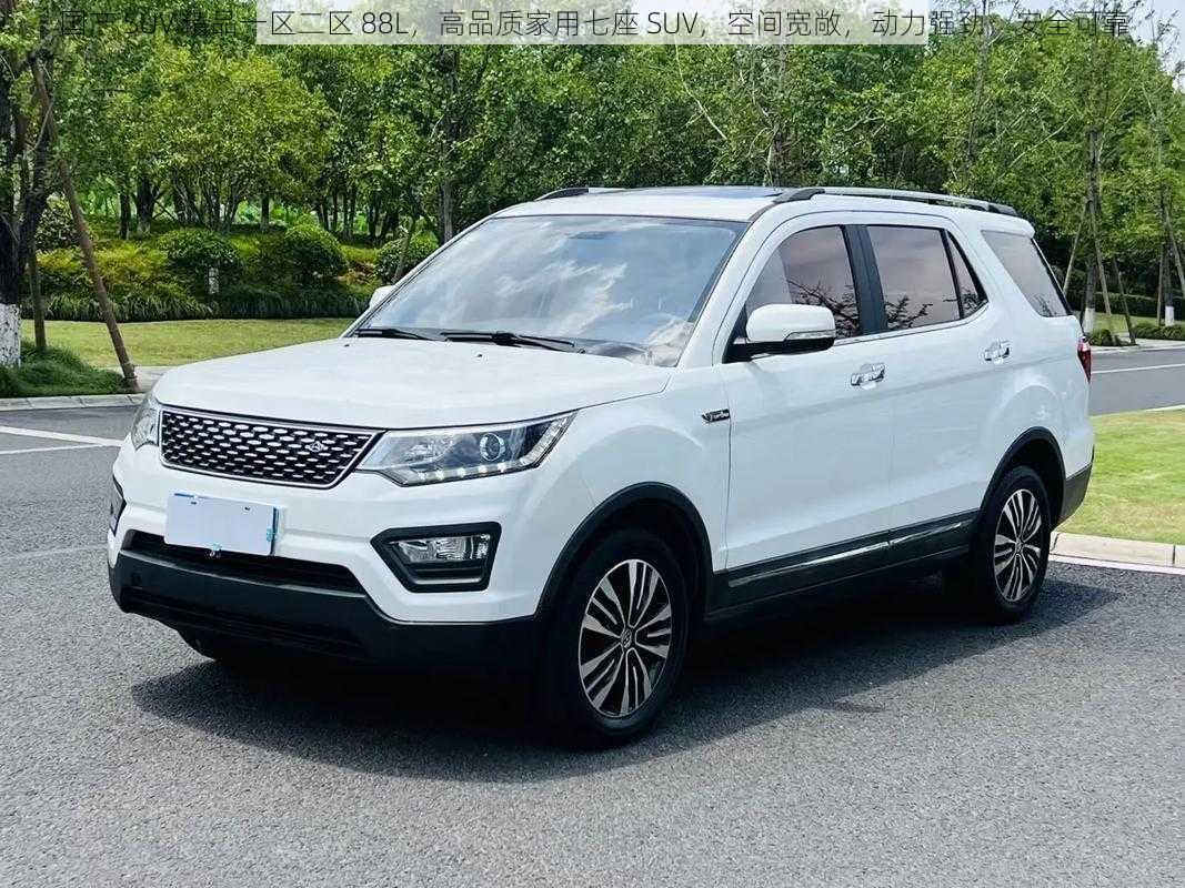 国产 SUV 精品一区二区 88L，高品质家用七座 SUV，空间宽敞，动力强劲，安全可靠