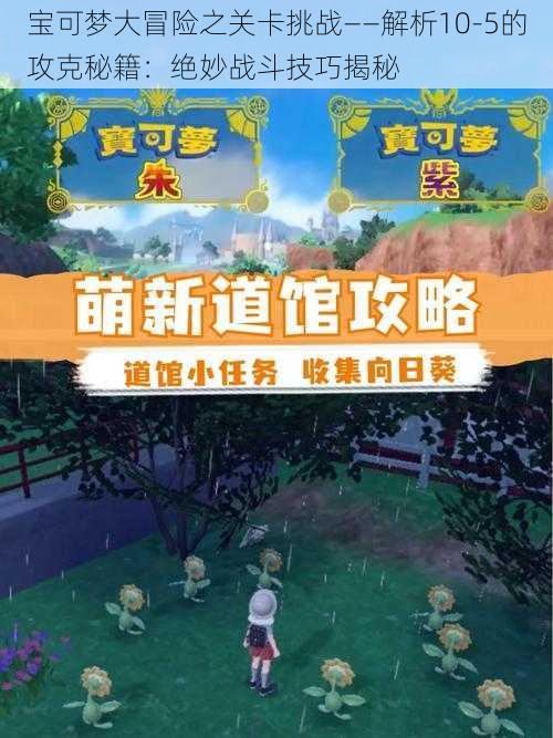 宝可梦大冒险之关卡挑战——解析10-5的攻克秘籍：绝妙战斗技巧揭秘