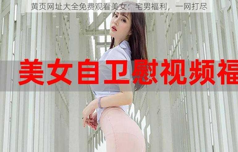 黄页网址大全免费观看美女：宅男福利，一网打尽