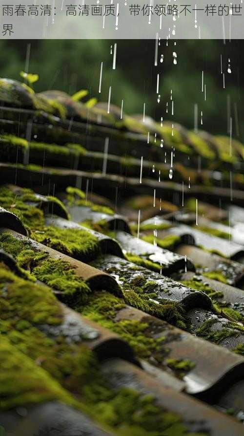 雨春高清：高清画质，带你领略不一样的世界