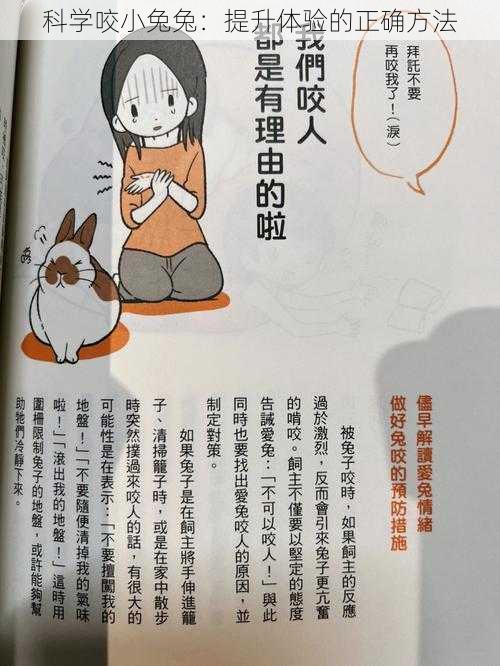 科学咬小兔兔：提升体验的正确方法