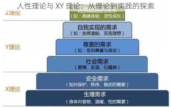 人性理论与 XY 理论：从理论到实践的探索