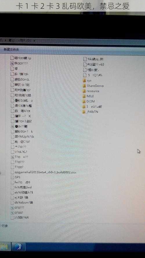 卡 1 卡 2 卡 3 乱码欧美，禁忌之爱