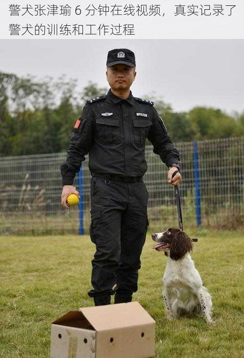 警犬张津瑜 6 分钟在线视频，真实记录了警犬的训练和工作过程