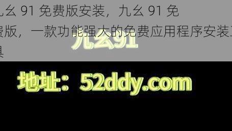 九幺 91 免费版安装，九幺 91 免费版，一款功能强大的免费应用程序安装工具