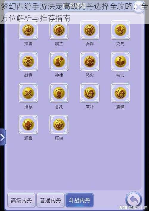 梦幻西游手游法宠高级内丹选择全攻略：全方位解析与推荐指南