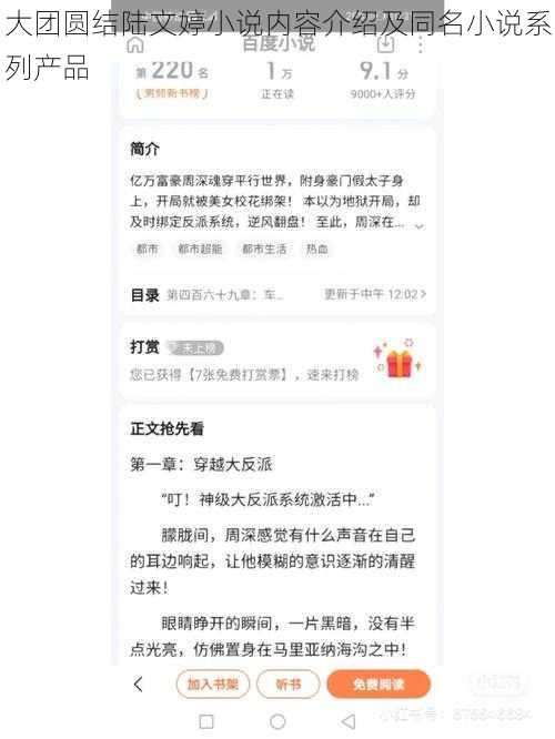 大团圆结陆文婷小说内容介绍及同名小说系列产品