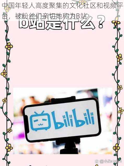 中国年轻人高度聚集的文化社区和视频平台，被粉丝们亲切地称为B站