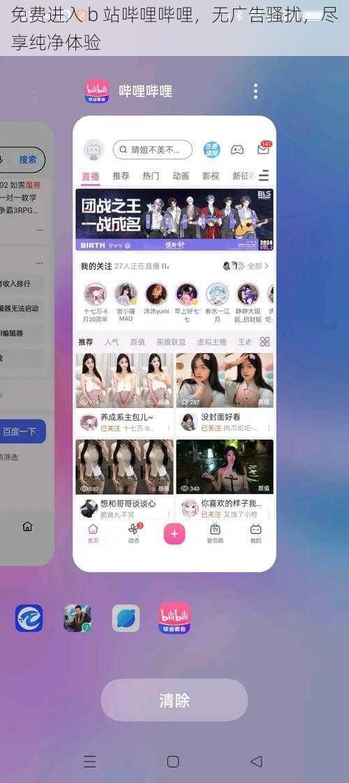 免费进入 b 站哔哩哔哩，无广告骚扰，尽享纯净体验