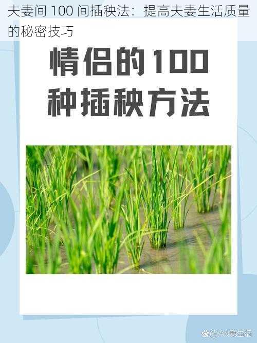 夫妻间 100 间插秧法：提高夫妻生活质量的秘密技巧