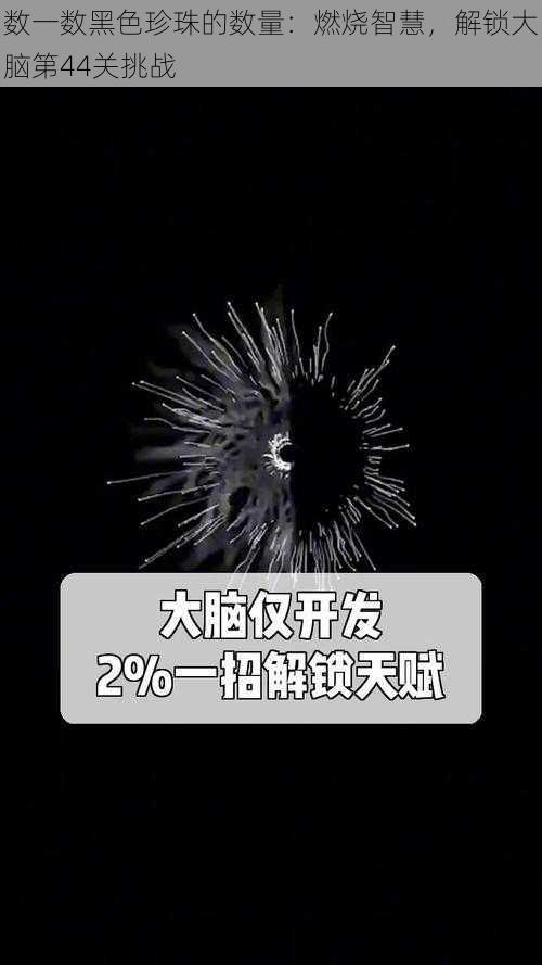 数一数黑色珍珠的数量：燃烧智慧，解锁大脑第44关挑战