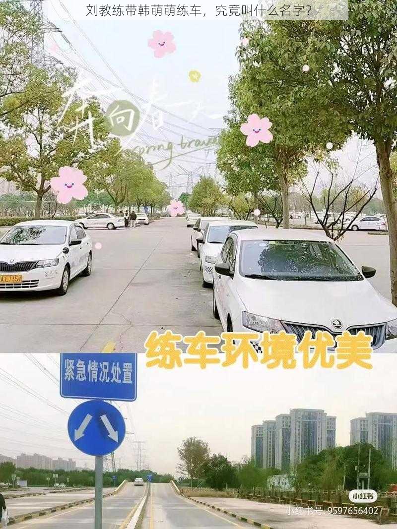 刘教练带韩萌萌练车，究竟叫什么名字？