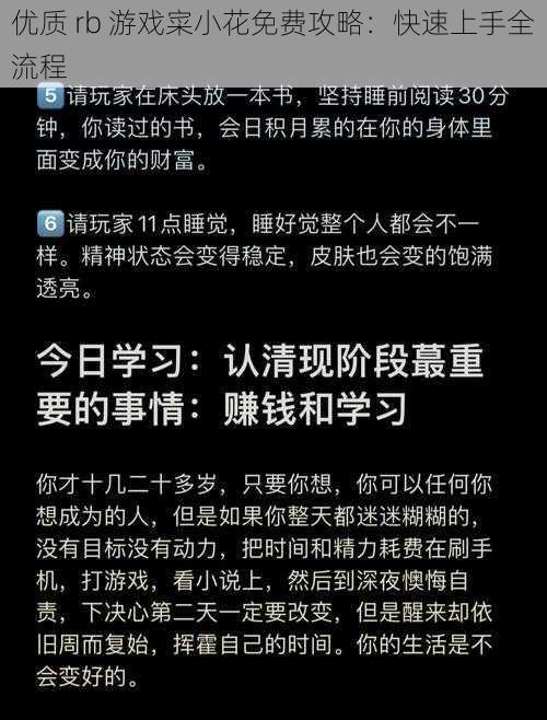 优质 rb 游戏寀小花免费攻略：快速上手全流程