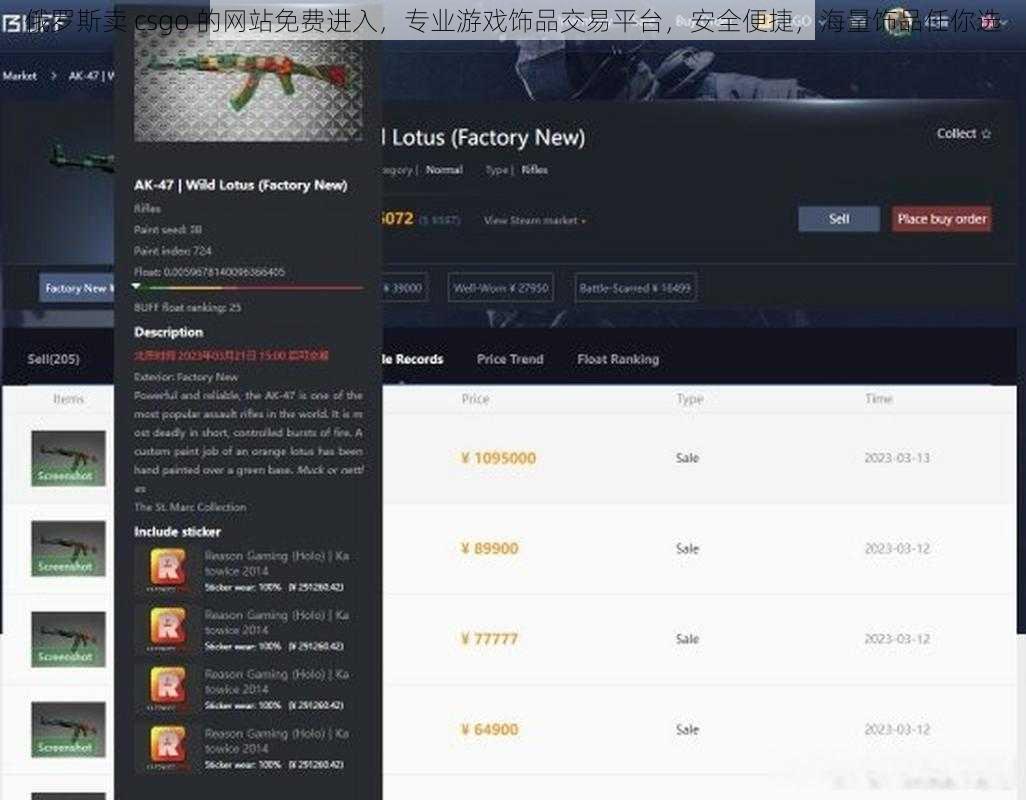 俄罗斯卖 csgo 的网站免费进入，专业游戏饰品交易平台，安全便捷，海量饰品任你选