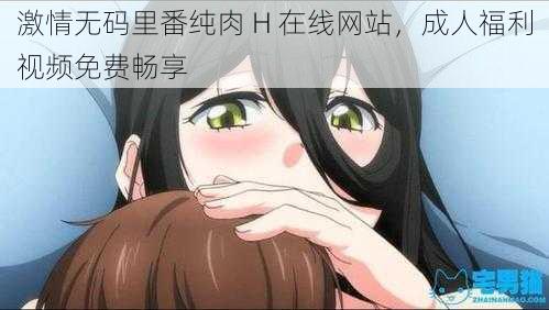 激情无码里番纯肉 H 在线网站，成人福利视频免费畅享