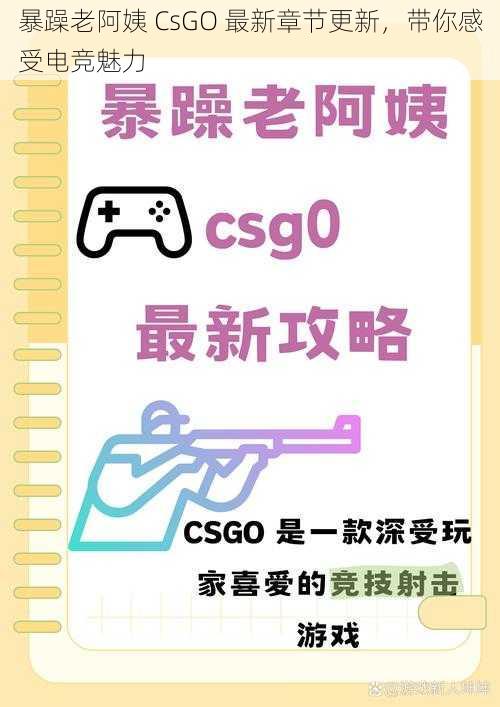 暴躁老阿姨 CsGO 最新章节更新，带你感受电竞魅力