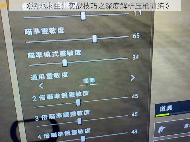 《绝地求生：实战技巧之深度解析压枪训练》