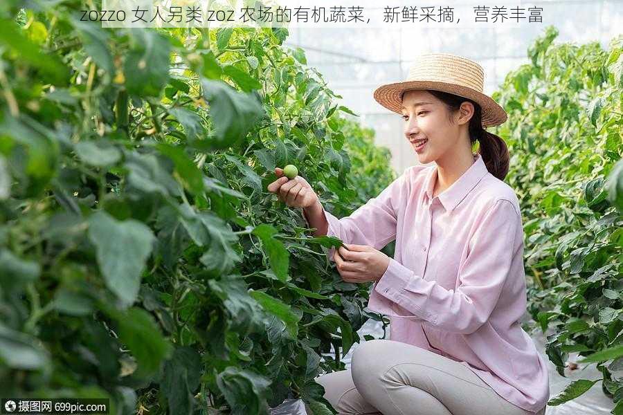 zozzo 女人另类 zoz 农场的有机蔬菜，新鲜采摘，营养丰富