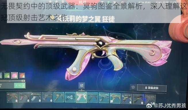 无畏契约中的顶级武器：冥驹图鉴全景解析，深入理解这把顶级射击艺术之作