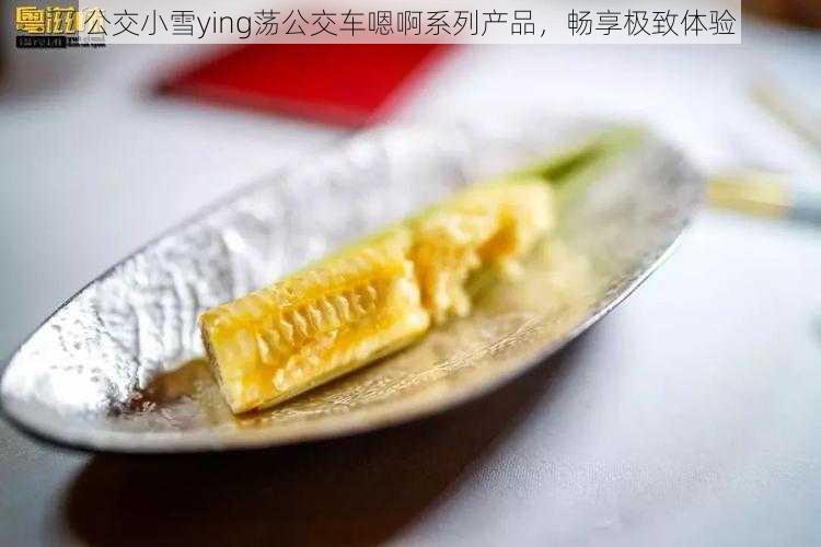 公交小雪ying荡公交车嗯啊系列产品，畅享极致体验