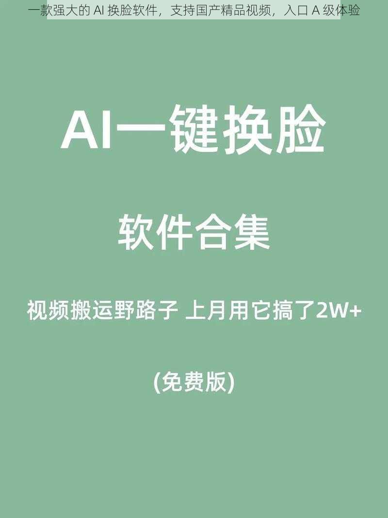 一款强大的 AI 换脸软件，支持国产精品视频，入口 A 级体验