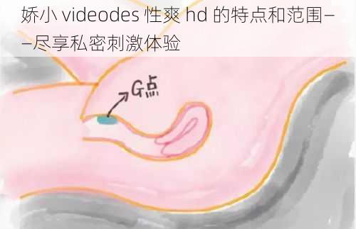 娇小 videodes 性爽 hd 的特点和范围——尽享私密刺激体验