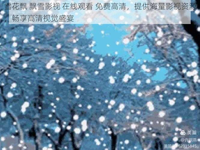 雪花飘 飘雪影视 在线观看 免费高清，提供海量影视资源，畅享高清视觉盛宴