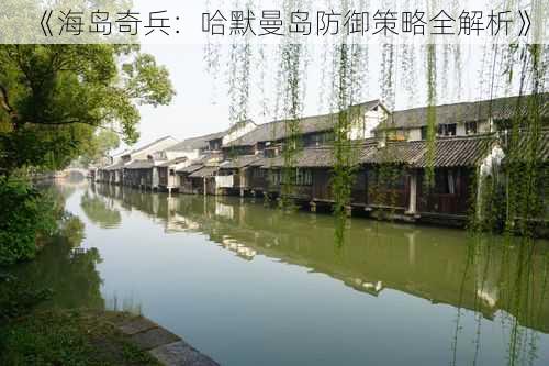 《海岛奇兵：哈默曼岛防御策略全解析》