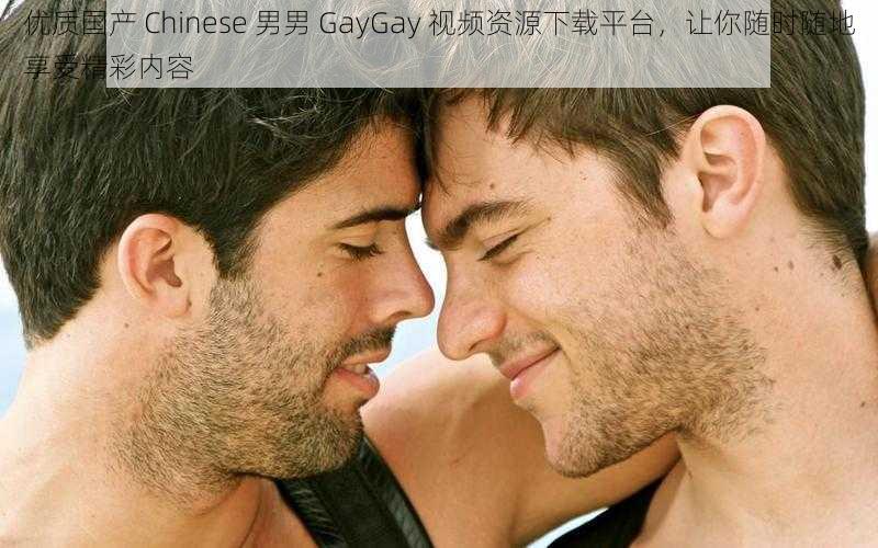 优质国产 Chinese 男男 GayGay 视频资源下载平台，让你随时随地享受精彩内容