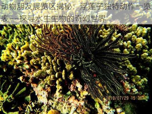 动物朋友展览区揭秘：浮莲子独特动作一览表——探寻水生生物的奇幻世界