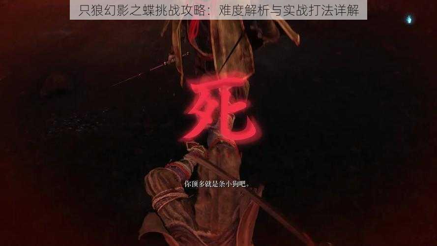 只狼幻影之蝶挑战攻略：难度解析与实战打法详解