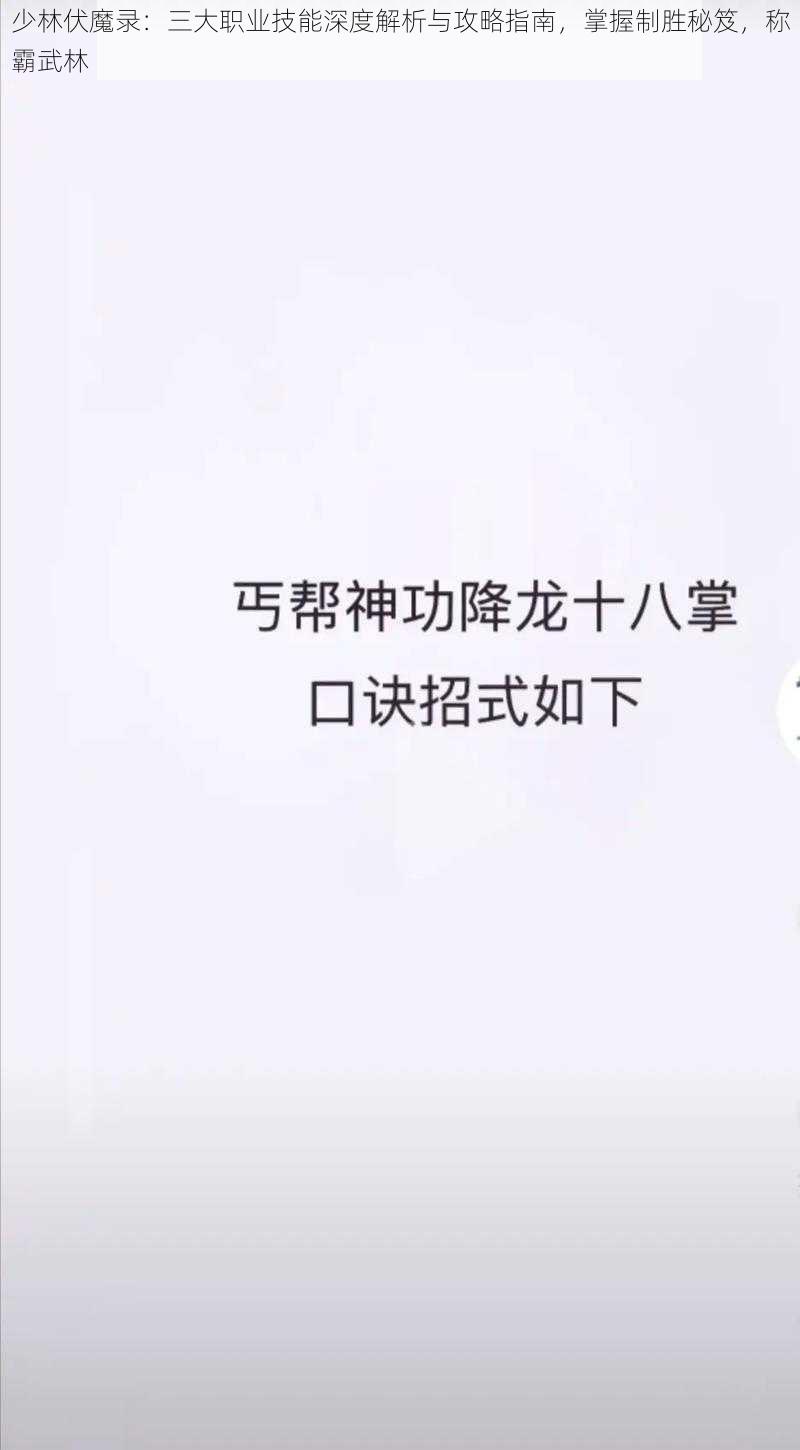 少林伏魔录：三大职业技能深度解析与攻略指南，掌握制胜秘笈，称霸武林