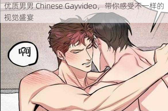 优质男男 Chinese Gayvideo，带你感受不一样的视觉盛宴