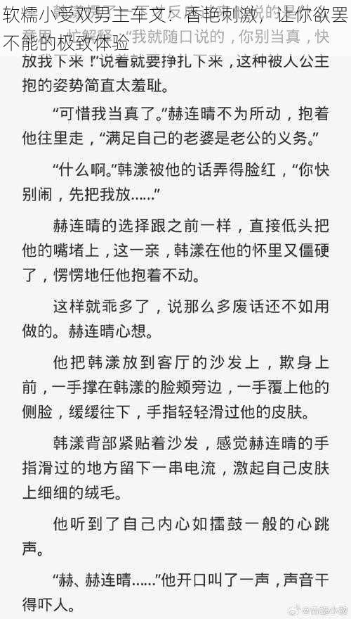 软糯小受双男主车文：香艳刺激，让你欲罢不能的极致体验