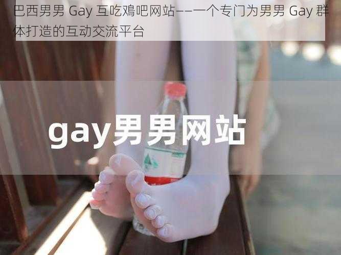 巴西男男 Gay 互吃鳮吧网站——一个专门为男男 Gay 群体打造的互动交流平台