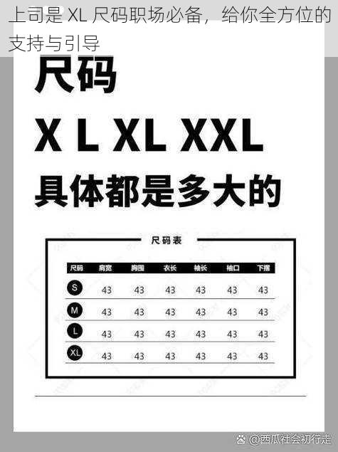 上司是 XL 尺码职场必备，给你全方位的支持与引导