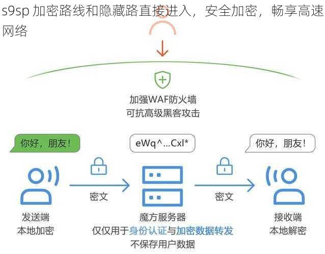 s9sp 加密路线和隐藏路直接进入，安全加密，畅享高速网络