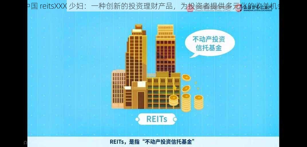 中国 reitsXXX 少妇：一种创新的投资理财产品，为投资者提供多元化的收益机会