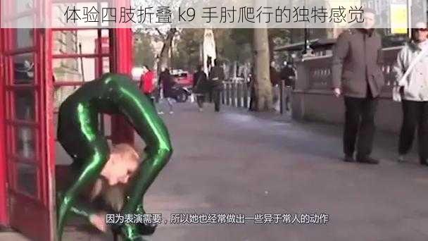 体验四肢折叠 k9 手肘爬行的独特感觉