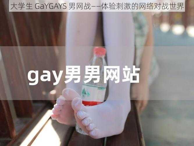 大学生 GaYGAYS 男网战——体验刺激的网络对战世界