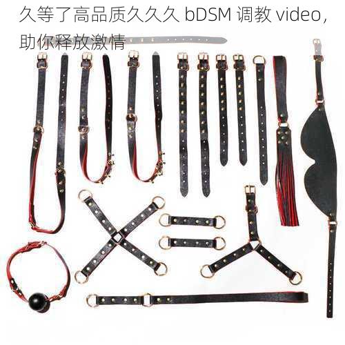 久等了高品质久久久 bDSM 调教 video，助你释放激情